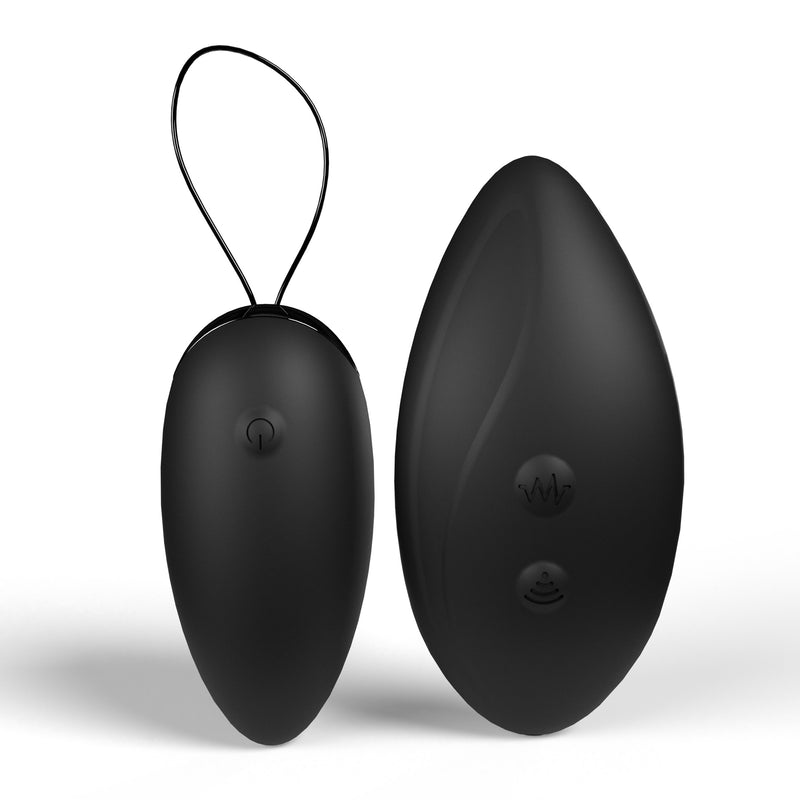 PREMIUM DUAL VIBE REMOTE & EGG