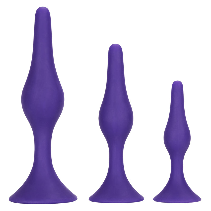 CalExotics Booty Call Booty Trainer Kit: set of 3 graduated purple silicone anal plugs with suction cup bases