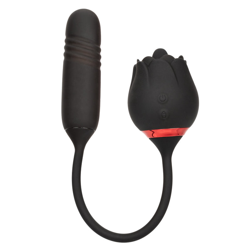 FRENCH KISS ELITE ROMEO BLACK