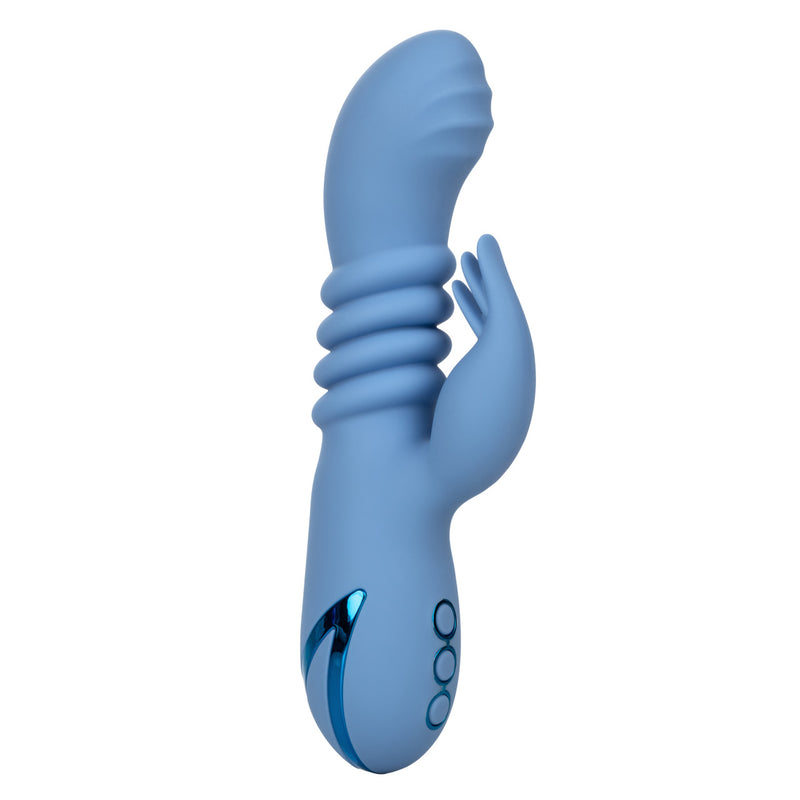 CALIFORNIA DREAMIN SANTA CRUZ COASTER