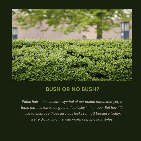 Bush or No Bush?