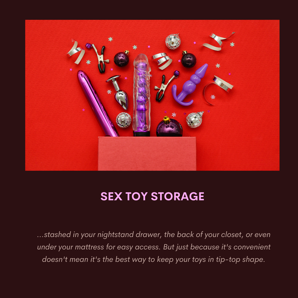 Sex Toy Storage Sex Toy Storage