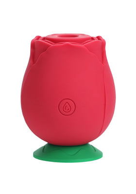 Sex Toys for Women