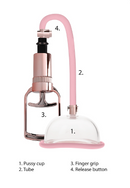 PUMPED P*SSY PUMP ROSE GOLD