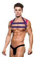 ENVY CHEST HARNESS BLUE S/M