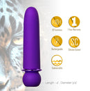 JAGUAR BULLET PURPLE