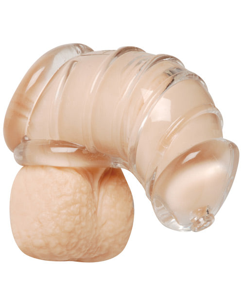 MASTER SERIES DETAINED SOFT BODY CHASTITY CAGE