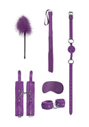 BEGINNERS BDSM KIT PURPLE