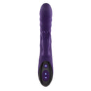RASCALLY RABBIT PURPLE