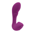 PLAYBOY ARCH PURPLE