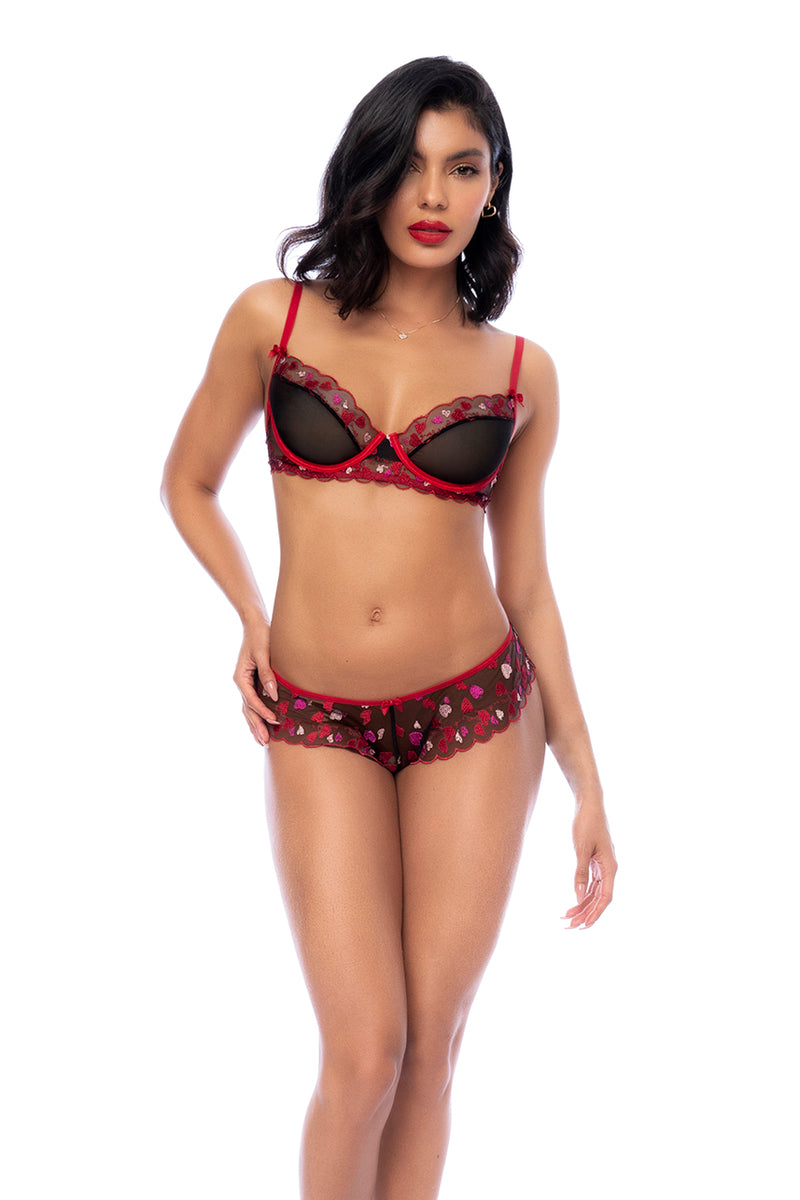 BRA, PANTY, & GARTER BELT HEARTS SMALL