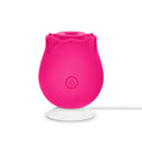 THE OG ROSE HOT PINK