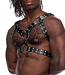 GEMINI LEATHER HARNESS BLACK O/S