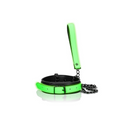 OUCH! GLOW IN THE DARK COLLAR & LEASH