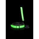 OUCH! GLOW IN THE DARK COLLAR & LEASH