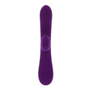 PLAYBOY CURLIQUE PURPLE