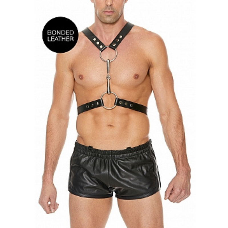 METAL & LEATHER CHEST HARNESS