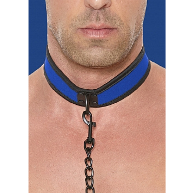 NEOPRENE COLLAR & LEASH BLUE