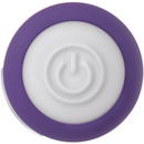 PURPLE PASSION BULLET