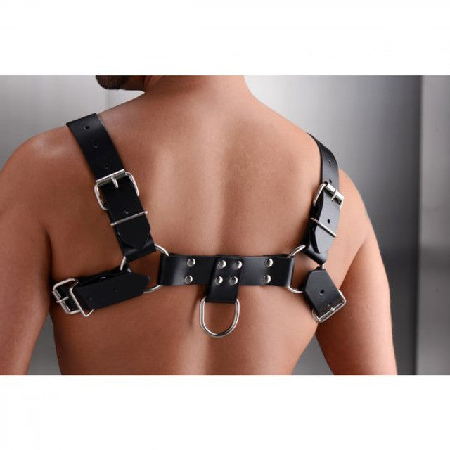 STRICT LEATHER ENGLISH BULLDOG HARNESS