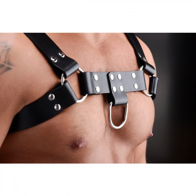 STRICT LEATHER ENGLISH BULLDOG HARNESS