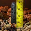 GENDER X GOLD STANDARD