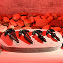SELOPA INTRO TO PLUGS 4 PIECE SET