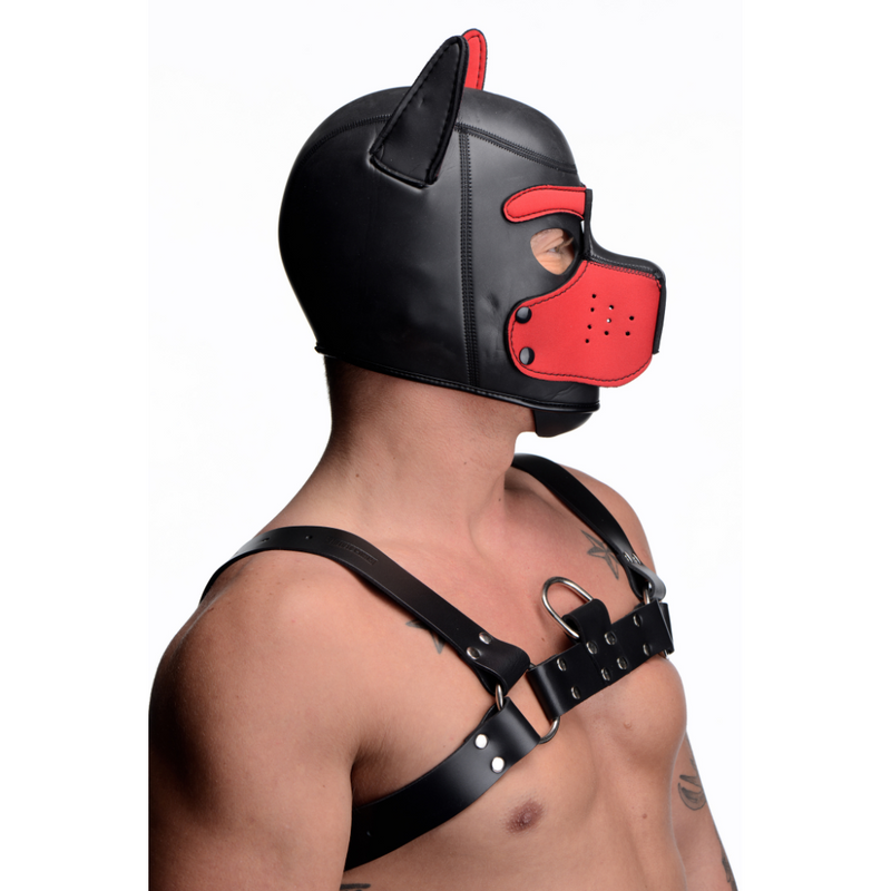 MASTER SERIES SPIKE PUPPY HOOD RED