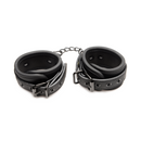 MASTER SERIES OF KINK 10PC DELUXE BDSM SET