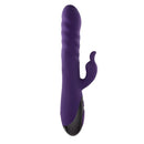 RASCALLY RABBIT PURPLE