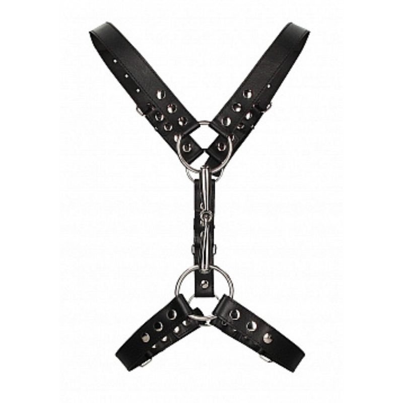 METAL & LEATHER CHEST HARNESS