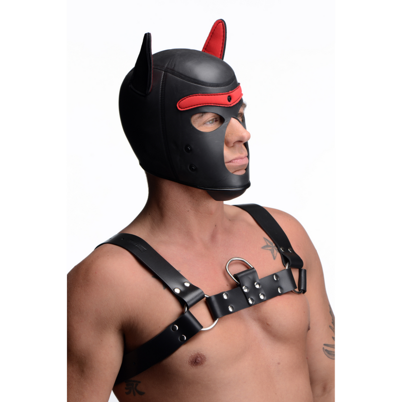 MASTER SERIES SPIKE PUPPY HOOD RED