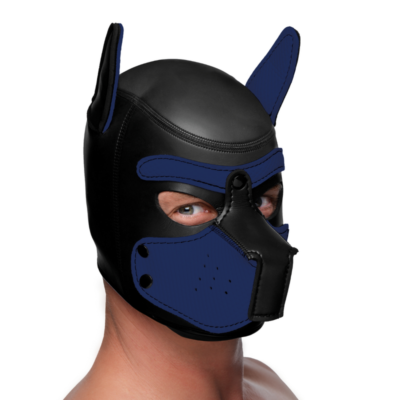 MASTER SERIES SPIKE PUPPY HOOD BLUE