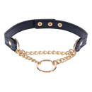 SEX & MISCHIEF COUGAR DAY COLLAR