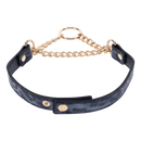 SEX & MISCHIEF COUGAR DAY COLLAR