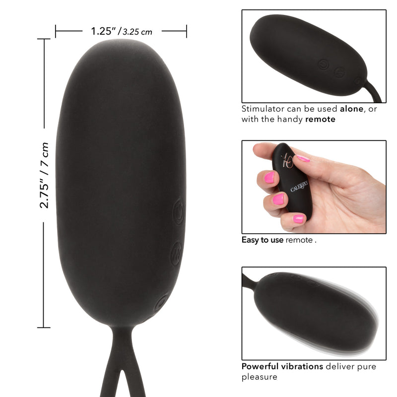 EGG WITH REMOTE