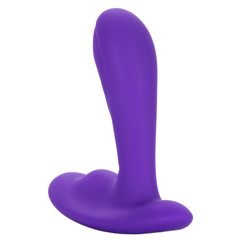 PINPOINT PLEASER PROBE WITH REMOTE
