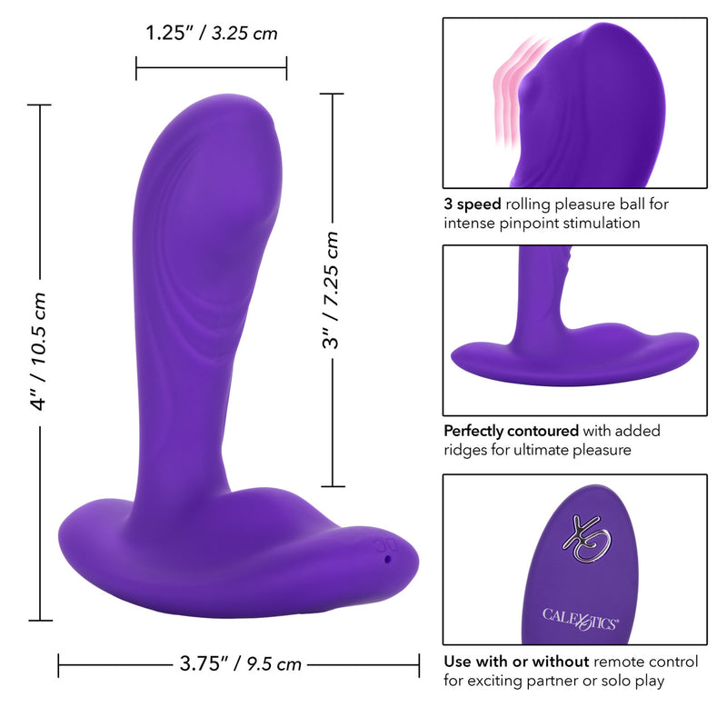 PINPOINT PLEASER PROBE WITH REMOTE