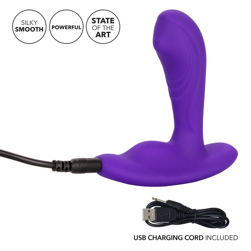 PINPOINT PLEASER PROBE WITH REMOTE
