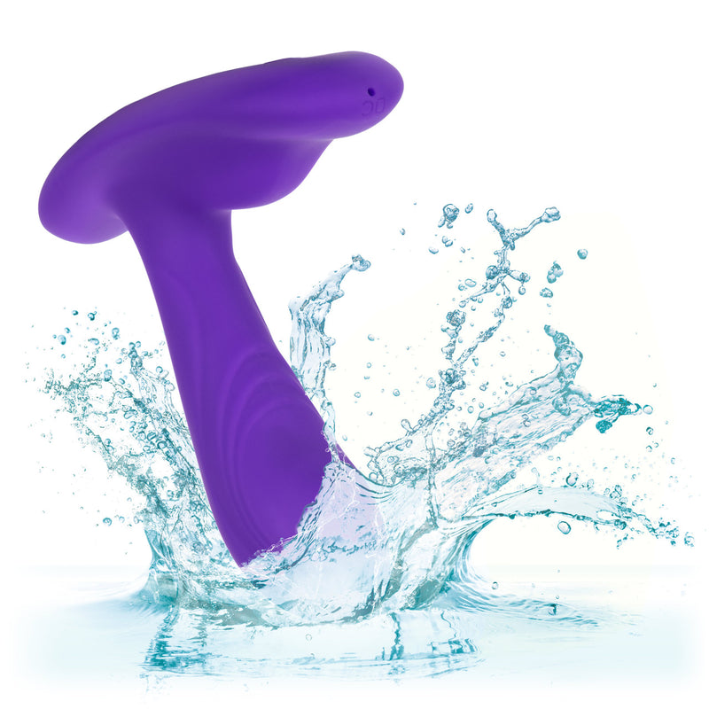 PINPOINT PLEASER PROBE WITH REMOTE