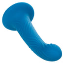WAVE RIDER RIPPLE 5" DILDO