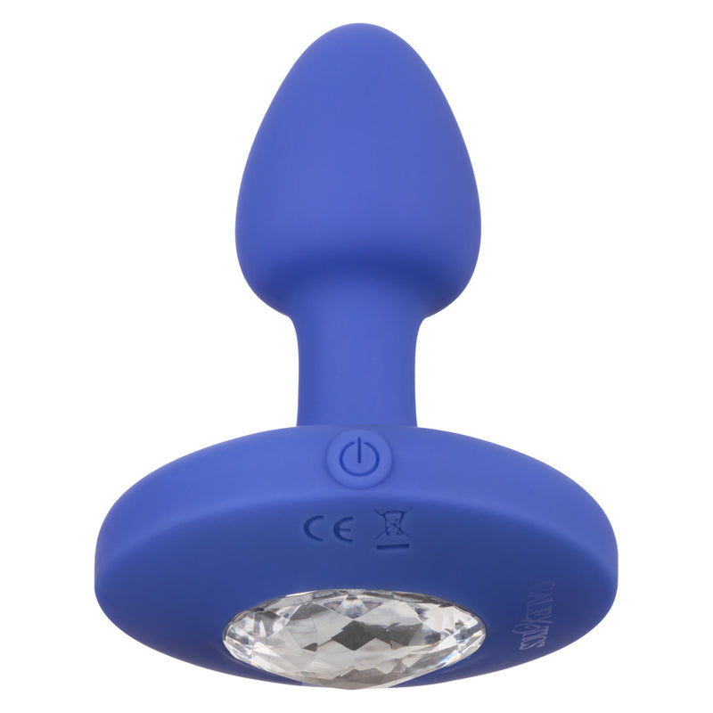 CHEEKY GEMS SMALL PROBE PURPLE
