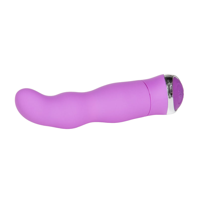 CLASSIC CHIC CURVE PURPLE