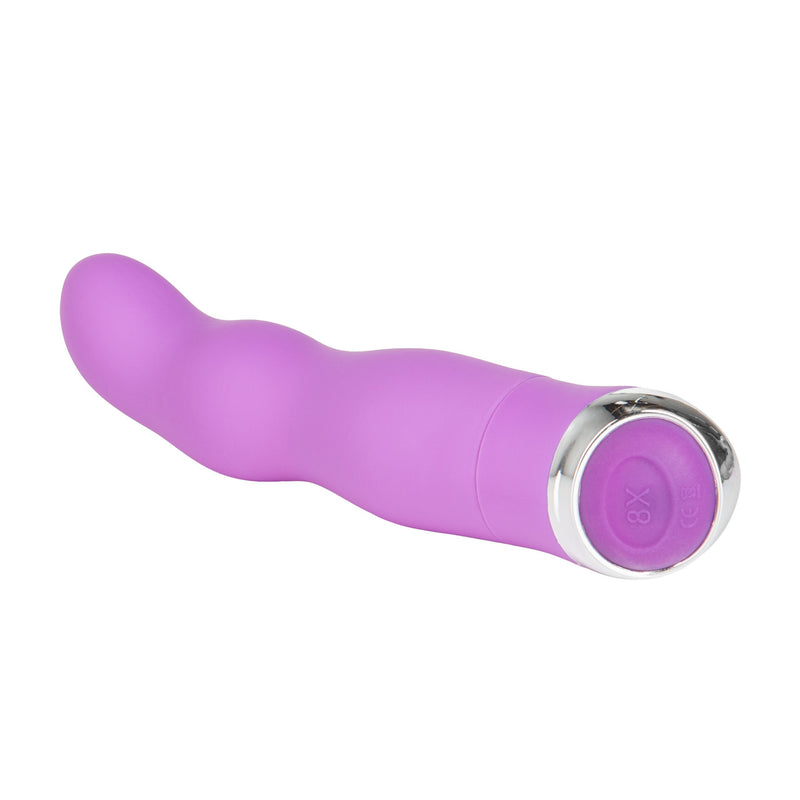 CLASSIC CHIC CURVE PURPLE