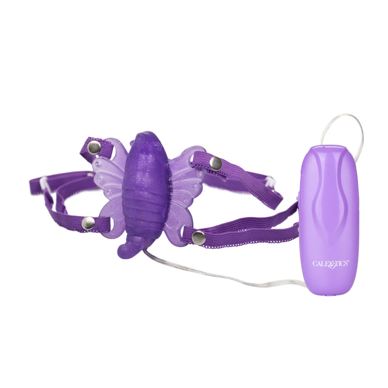 VENUS BUTTERFLY 2 PURPLE