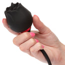 FRENCH KISS ELITE ROMEO BLACK