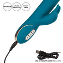 JACK RABBIT SIGNATURE ROCKIN G RABBIT