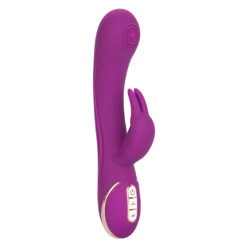 JACK RABBIT THUMPING RABBIT PURPLE JACK RABBIT THUMPING RABBIT PURPLE