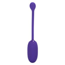 KEGEL BALL PURPLE