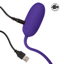 KEGEL BALL PURPLE